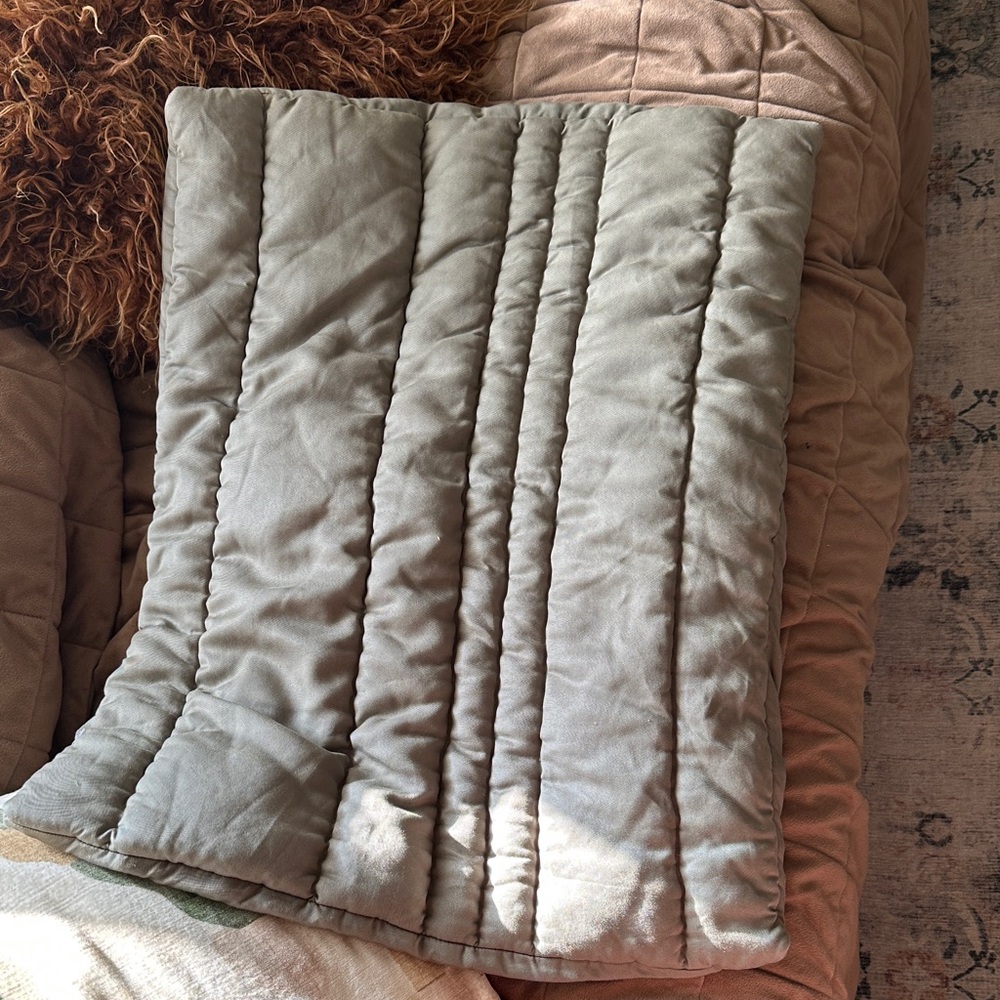 West Elm Organic Channel Quilt Standard Sham 20x26 Sage Green